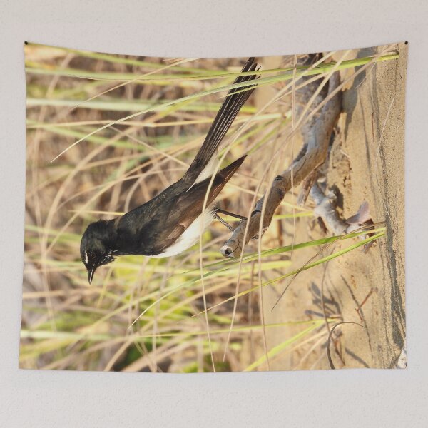 Item preview, Willy Wagtail on the lookout  designed and sold by Mark Grimsley.