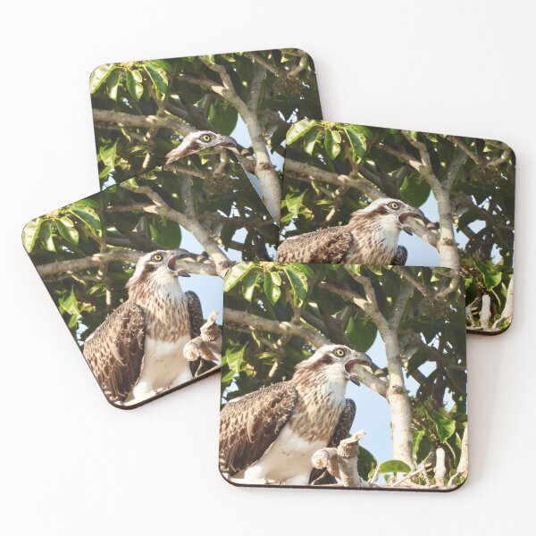 Item preview, Hungry Osprey  designed and sold by Mark Grimsley.