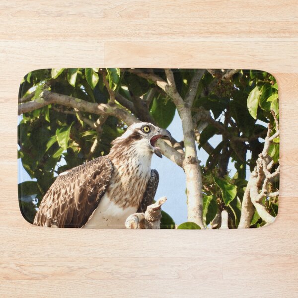 Item preview, Hungry Osprey  designed and sold by Mark Grimsley.
