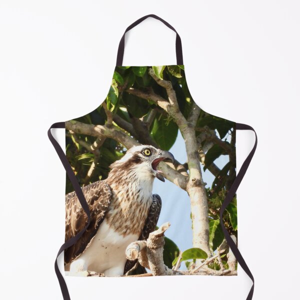 Item preview, Hungry Osprey designed and sold by Mark Grimsley.
