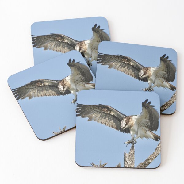 Item preview, Osprey stretch time  designed and sold by Mark Grimsley.