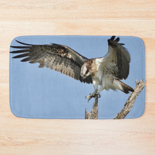 Item preview, Osprey stretch time  designed and sold by Mark Grimsley.