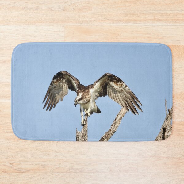 Item preview, Osprey on the lookout for Breakfast designed and sold by Mark Grimsley.
