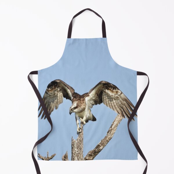 Item preview, Osprey on the lookout for Breakfast designed and sold by Mark Grimsley.