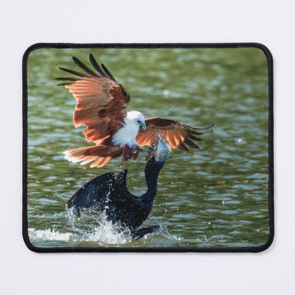Item preview, Brahmini Kite snatch designed and sold by Ozjanette90.