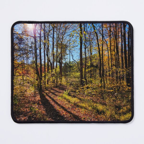 Item preview, Long Autumn Shadows & Colorful Leaves designed and sold by TwistedP-Photos.