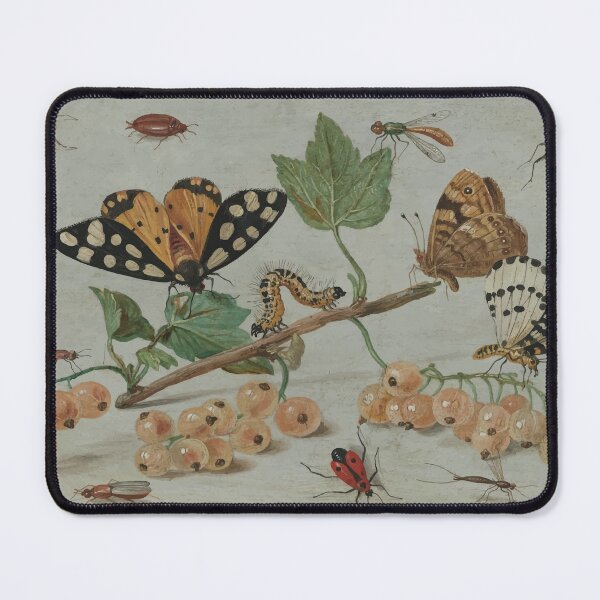 Item preview, Jan van Kessel | Insects and Fruit designed and sold by badguyduh.