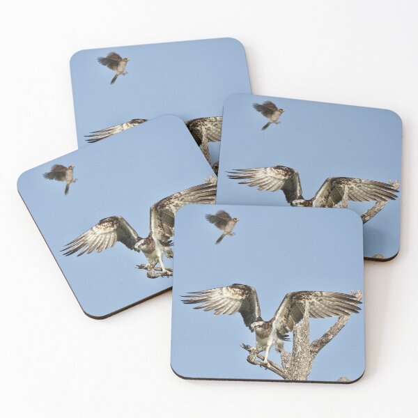 Item preview, Osprey being bothered by a Noisy Miner  designed and sold by Mark Grimsley.