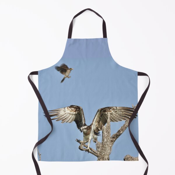 Item preview, Osprey being bothered by a Noisy Miner designed and sold by Mark Grimsley.