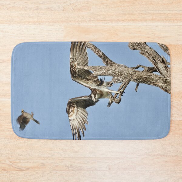 Item preview, Osprey being bothered by a Noisy Miner  designed and sold by Mark Grimsley.