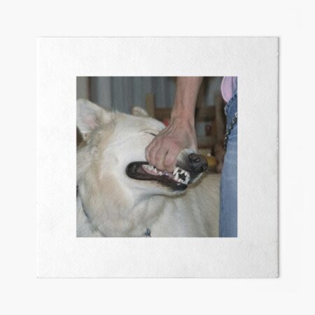 gbrf,8x8,f,540x540-pad,450x450