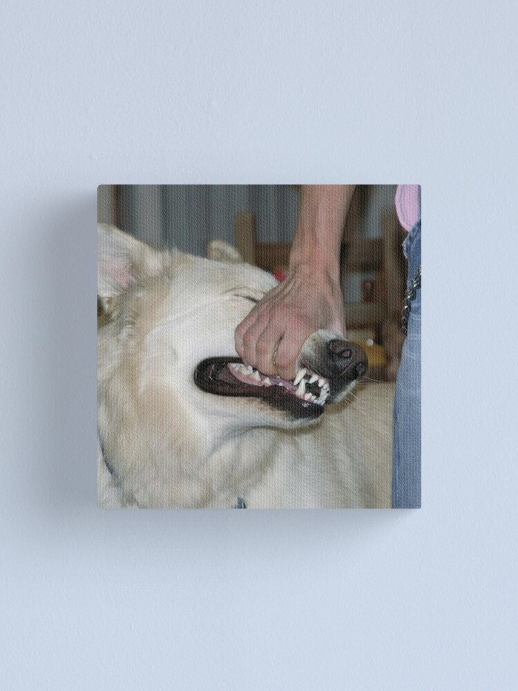 sign crushes motorist - i'll be okay Album Cover
