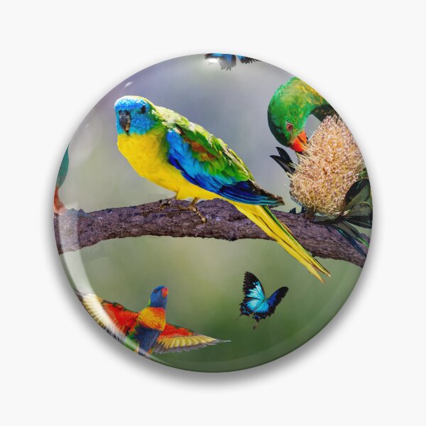 Item preview, Australian birds and butterflies - composite image designed and sold by Ozjanette90.