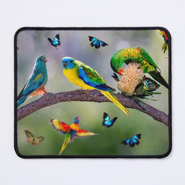 Item preview, Australian birds and butterflies - composite image designed and sold by Ozjanette90.