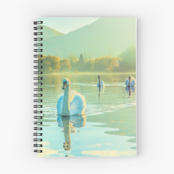 Item preview, Swan Lake designed and sold by Gary Chadbond Photography.