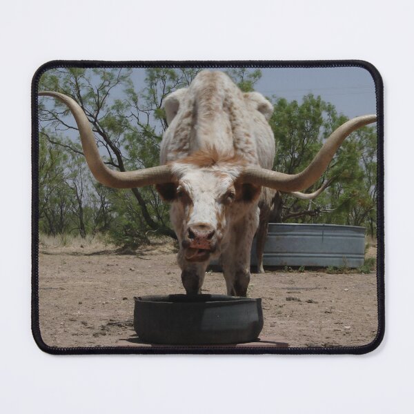 Artikelvorschau, Texas Longhorn Cow - Texas Longhorn Cattle entworfen und verkauft von animal-animal.