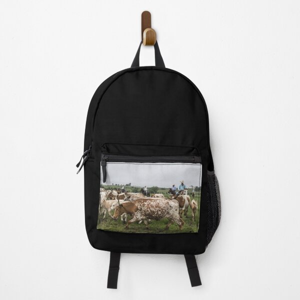 Item preview, Texas Longhorn Cow - Texas Longhorn Cattle designed and sold by animal-animal.