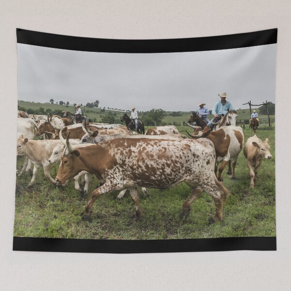 Item preview, Texas Longhorn Cow - Texas Longhorn Cattle designed and sold by animal-animal.