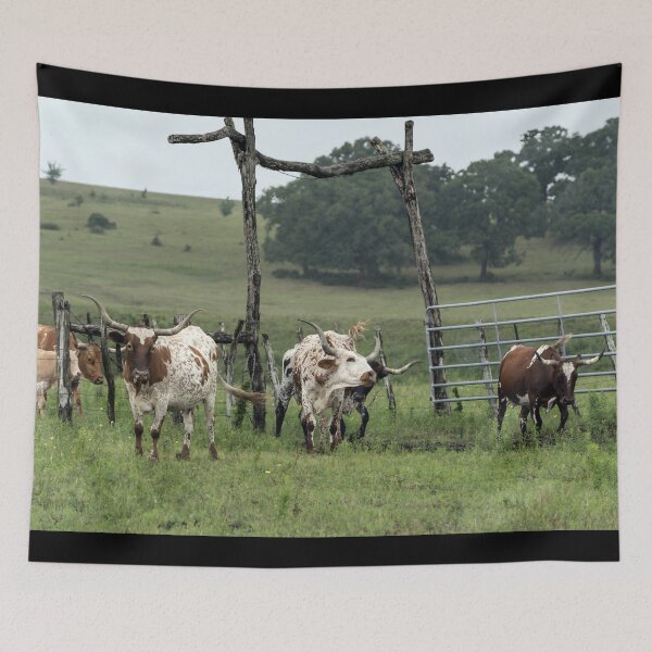 Item preview, Texas Longhorn Cow - Texas Longhorn Cattle designed and sold by animal-animal.