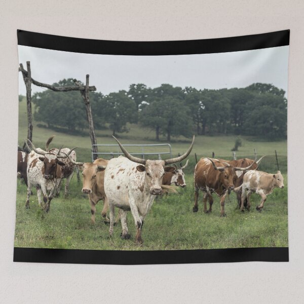 Item preview, Texas Longhorn Cow - Texas Longhorn Cattle designed and sold by animal-animal.
