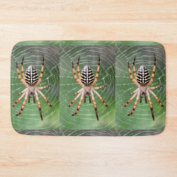 Item preview, GARDEN ORB  SPIDER WEB TAXIDERMY PRINT~Arachnid Animal Lover~Party Decoration~Birthday Gift~Favor designed and sold by Spinning Plates 360.