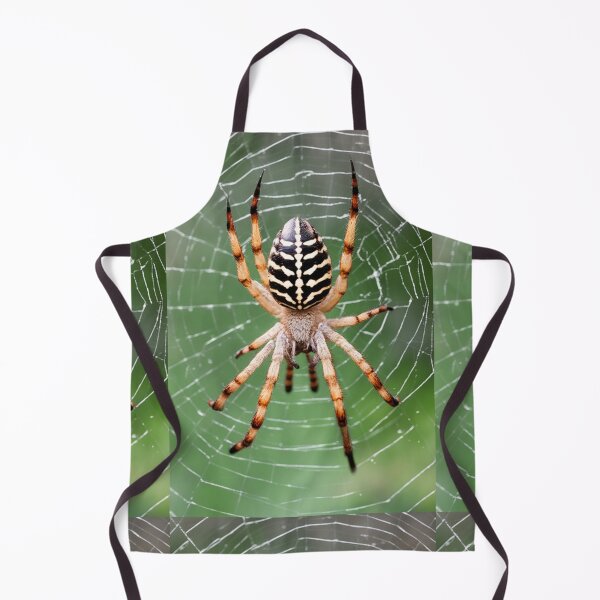 Item preview, GARDEN ORB SPIDER WEB TAXIDERMY PRINT~Arachnid Animal Lover~Party Decoration~Birthday Gift~Favor designed and sold by Spinning Plates 360.