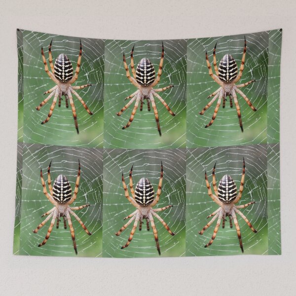 Item preview, GARDEN ORB  SPIDER WEB TAXIDERMY PRINT~Arachnid Animal Lover~Party Decoration~Birthday Gift~Favor designed and sold by Spinning Plates 360.