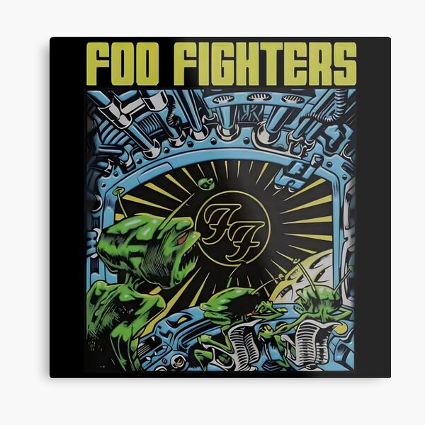 Foo Fighters My Hero Vinyl Record Song Lyric Print