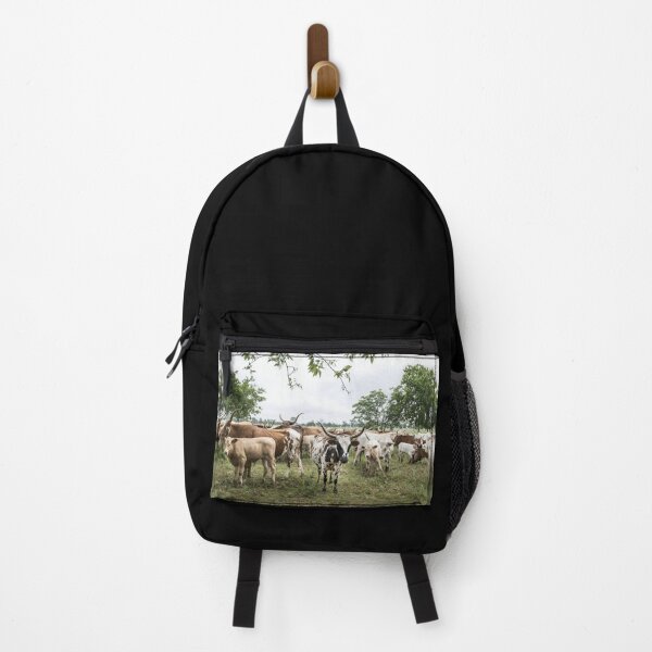 Item preview, Texas Longhorn Cow - Texas Longhorn Cattle designed and sold by animal-animal.