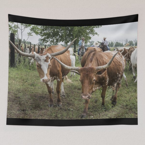 Item preview, Texas Longhorn Cow - Texas Longhorn Cattle designed and sold by animal-animal.