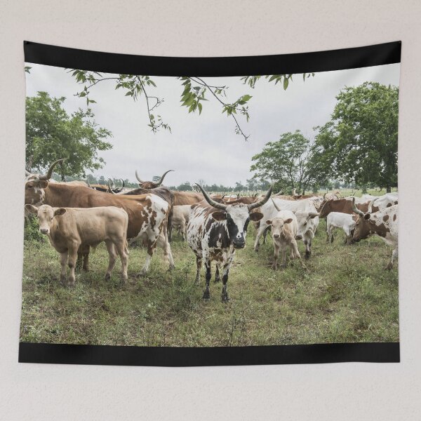 Item preview, Texas Longhorn Cow - Texas Longhorn Cattle designed and sold by animal-animal.