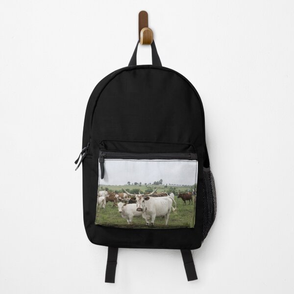 Item preview, Texas Longhorn Cow - Texas Longhorn Cattle designed and sold by animal-animal.