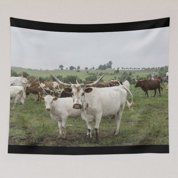 Item preview, Texas Longhorn Cow - Texas Longhorn Cattle designed and sold by animal-animal.