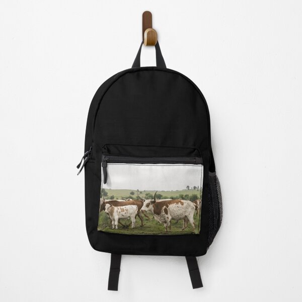 Item preview, Texas Longhorn Cow - Texas Longhorn Cattle designed and sold by animal-animal.