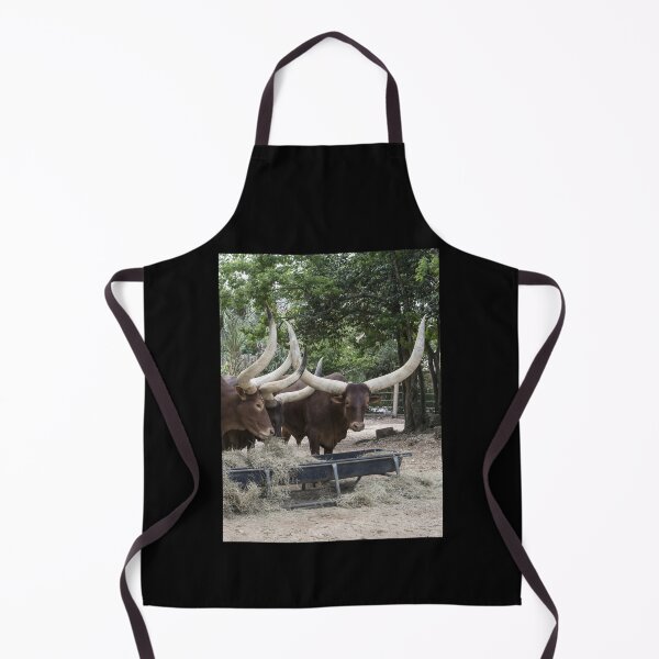 Item preview, Texas Longhorn Cow - Texas Longhorn Cattle designed and sold by animal-animal.