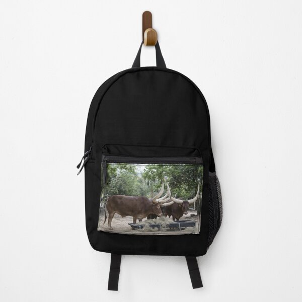 Item preview, Texas Longhorn Cow - Texas Longhorn Cattle designed and sold by animal-animal.