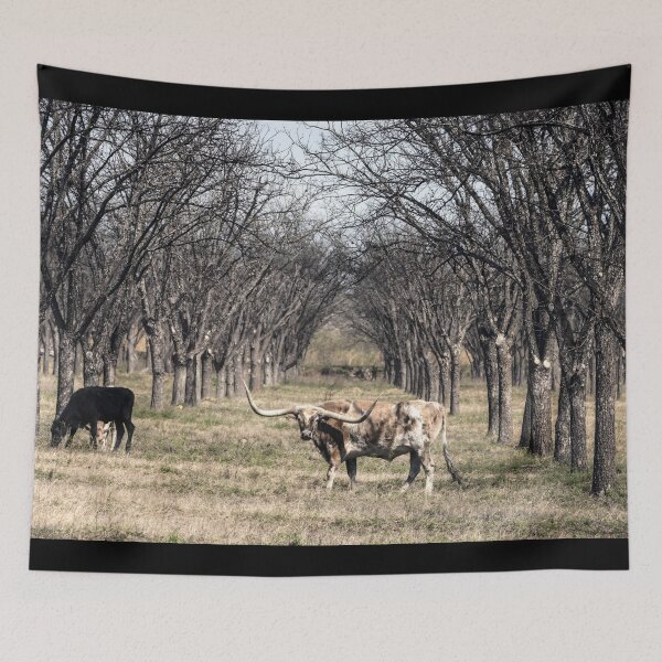 Item preview, Texas Longhorn Cow - Texas Longhorn Cattle designed and sold by animal-animal.