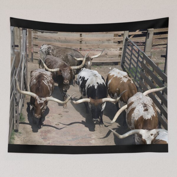 Item preview, Texas Longhorn Cow - Texas Longhorn Cattle designed and sold by animal-animal.