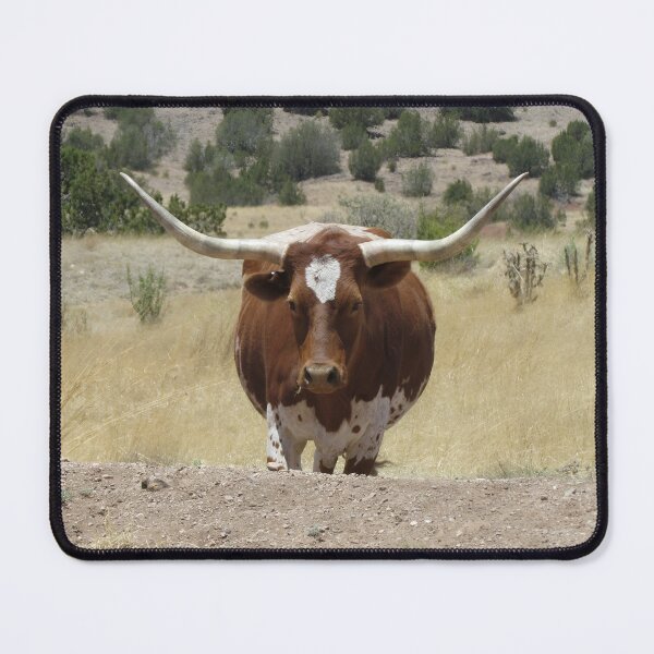 Artikelvorschau, Texas Longhorn Cow - Texas Longhorn Cattle entworfen und verkauft von animal-animal.
