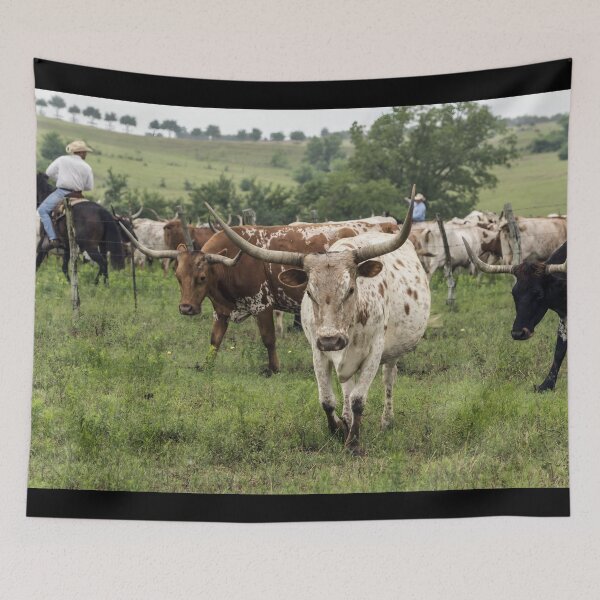 Artikelvorschau, Texas Longhorn Cow - Texas Longhorn Cattle entworfen und verkauft von animal-animal.