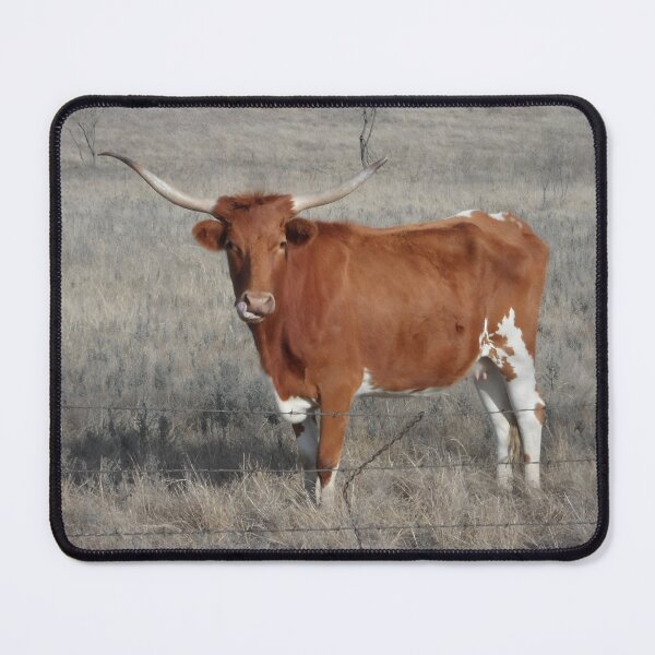 Artikelvorschau, Texas Longhorn Cow - Texas Longhorn Cattle entworfen und verkauft von animal-animal.
