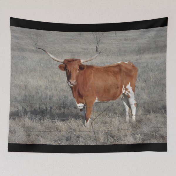Item preview, Texas Longhorn Cow - Texas Longhorn Cattle designed and sold by animal-animal.