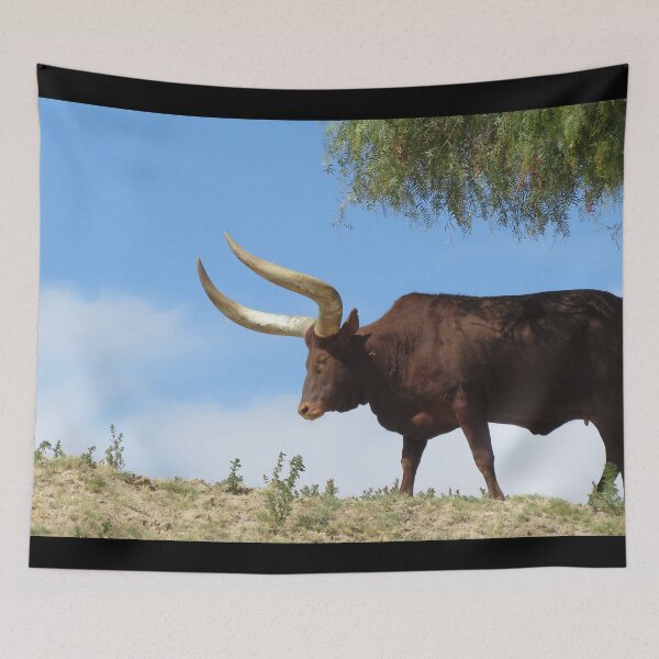 Item preview, Texas Longhorn Cow - Texas Longhorn Cattle designed and sold by animal-animal.