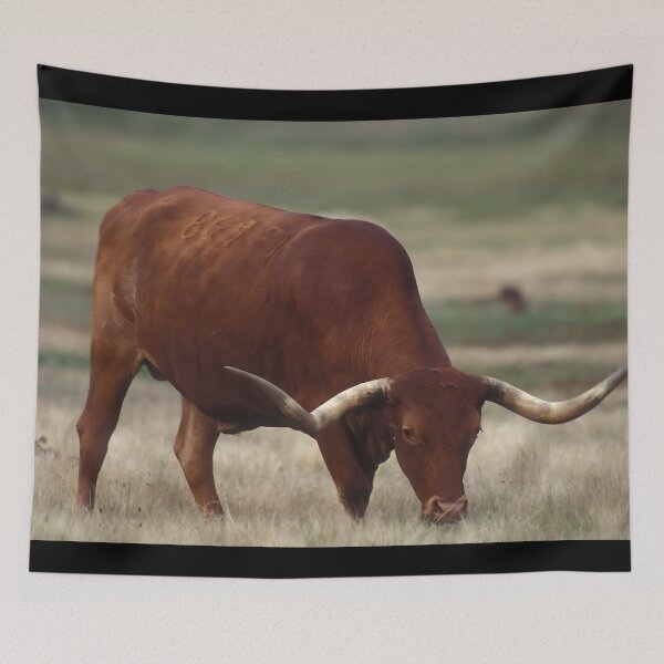 Item preview, Texas Longhorn Cow - Texas Longhorn Cattle designed and sold by animal-animal.