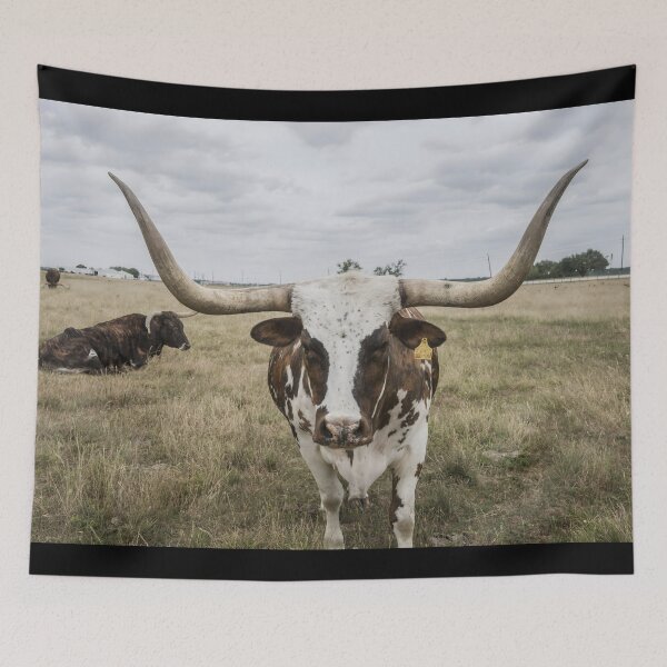 Artikelvorschau, Texas Longhorn Cow - Texas Longhorn Cattle entworfen und verkauft von animal-animal.