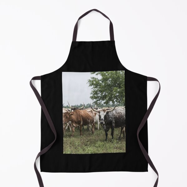 Artikelvorschau, Texas Longhorn Cow - Texas Longhorn Cattle entworfen und verkauft von animal-animal.