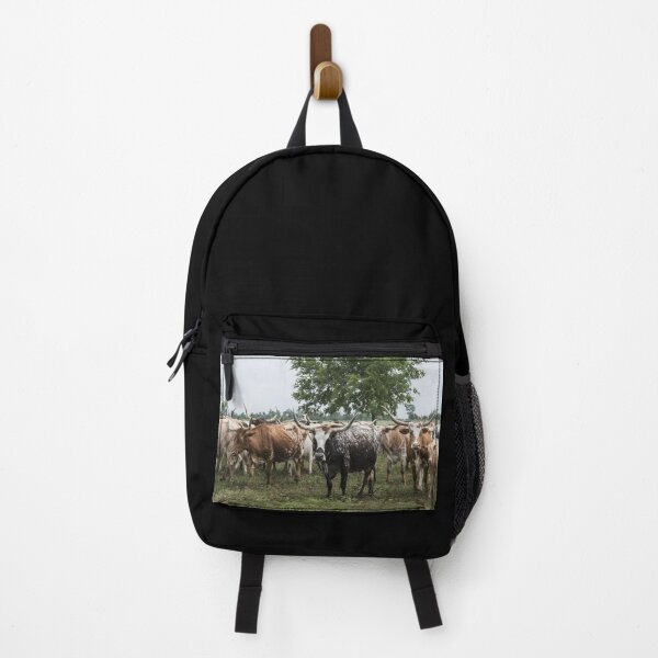 Item preview, Texas Longhorn Cow - Texas Longhorn Cattle designed and sold by animal-animal.