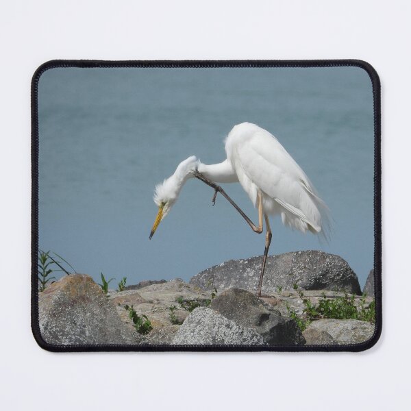 Item preview, Waterbird by the lake designed and sold by Juviraga.