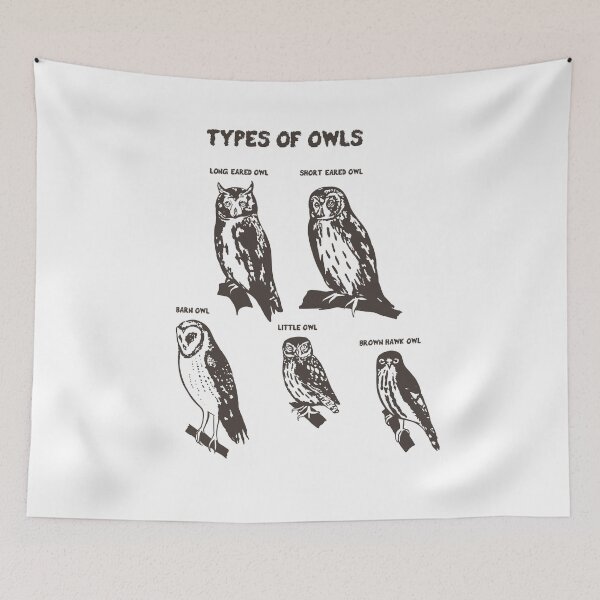 Item preview, Types of owls t-shirt. Educational Owl Shirt designed and sold by flexify.