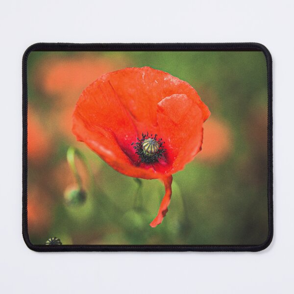 Item preview, Poppy  designed and sold by Mothboybrown.
